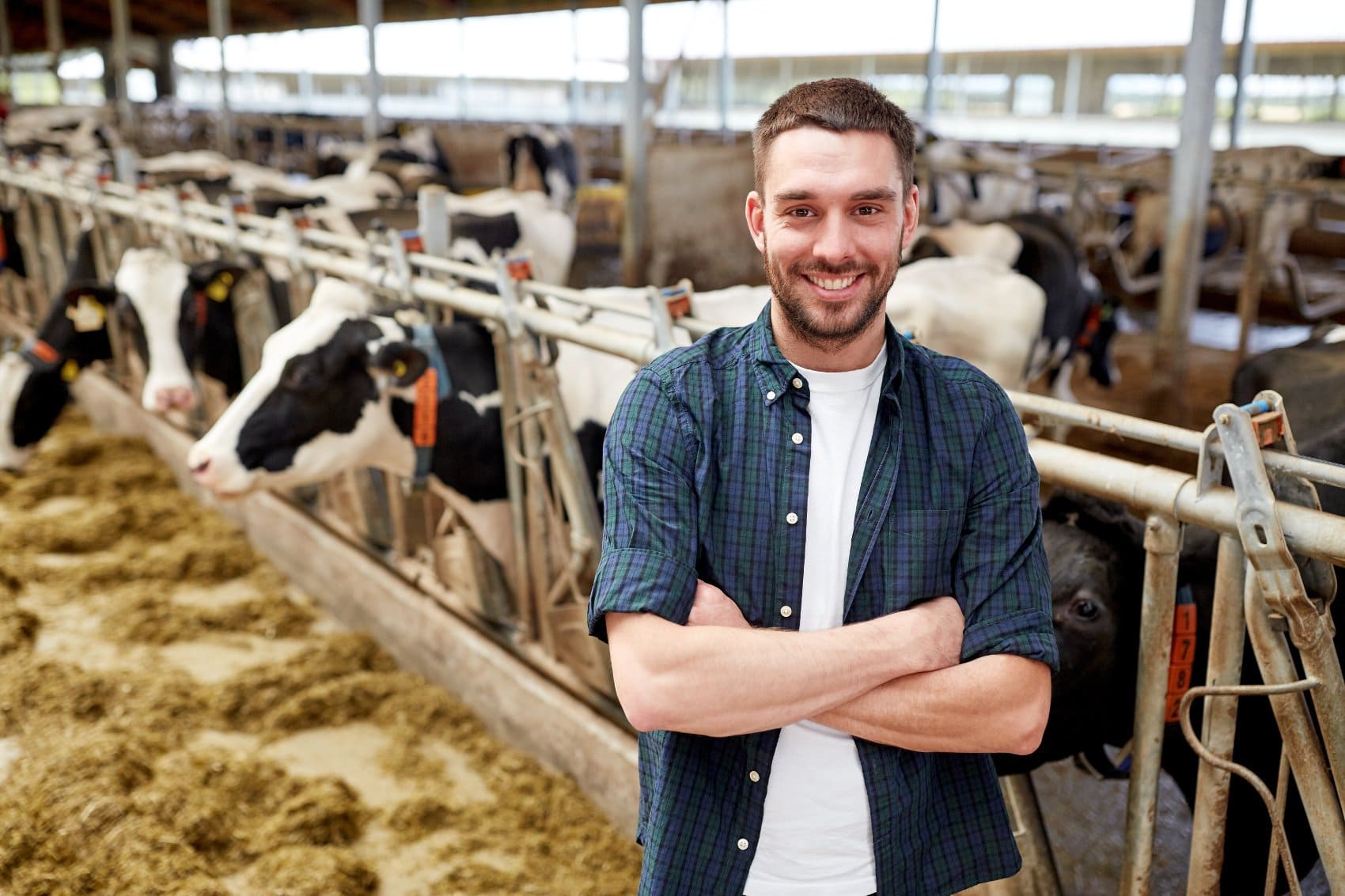 L'Expert comptable des éleveurs